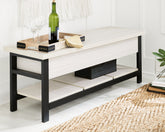 A2Z Furniture - Ashley Furniture - Rhyson Storage Bench - Storage Bench / White / 48"W x 16"D x 18"H - A3000312