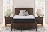 A2Z Furniture - Ashley Furniture - Limited Edition PT Mattresses - Queen / White - M41231