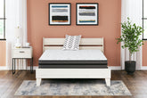 A2Z Furniture - Ashley Furniture - 10 Inch Pocketed Hybrid Mattresses - Twin / White - M58911