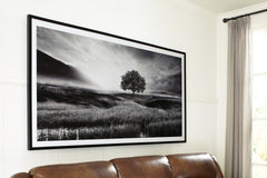 A2Z Furniture - Ashley Furniture - Deborland Wall Decor - Wall Art / Black/White - A8000341