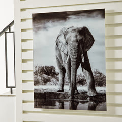 A2Z Furniture - Ashley Furniture - Glinyard Wall Decor - Wall Art / Black/White - A8000421